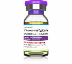 1-Testosterone Cypionate